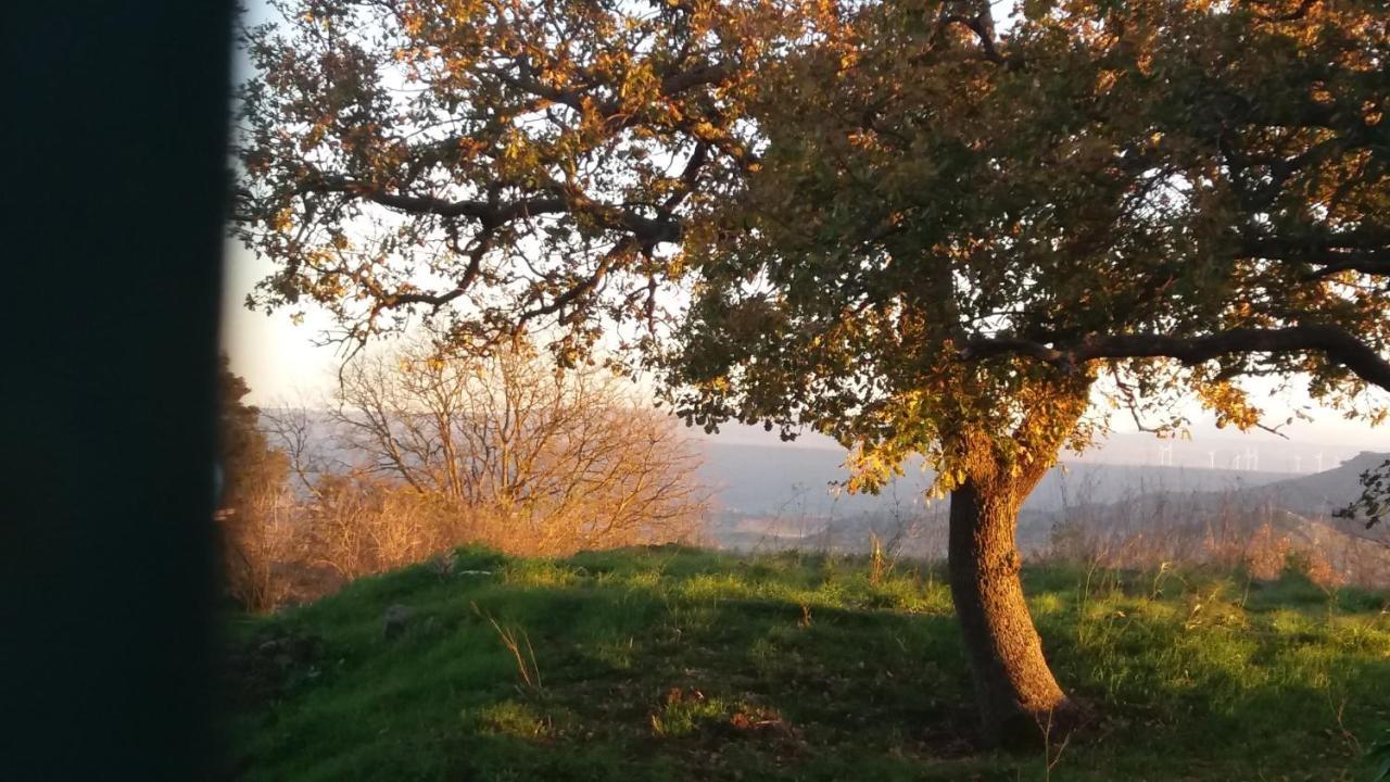 Su Montiju De Sa Falada Manna Cheremule Kültér fotó